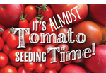 Staff & Founder Tomato Picks!