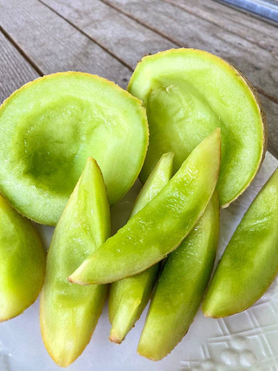 Melon, Green Nutmeg – Snake River Seed Cooperative