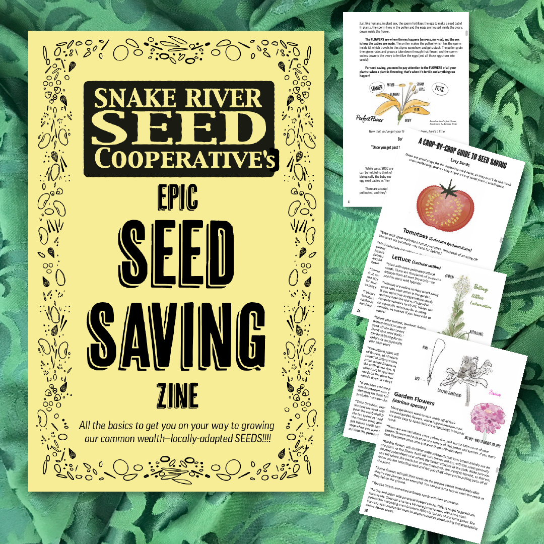 seeds for snake plant Beginning Seed Saver Pack – Snake River Seed Cooperative