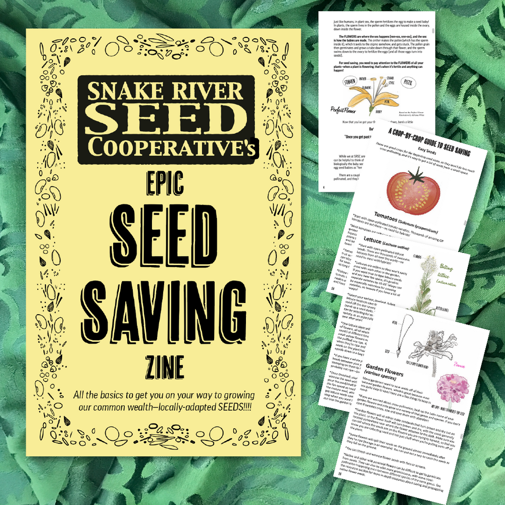 Seed Saving Zine! (Hard Copy)