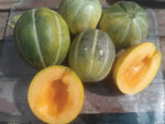 Melon, Emerald Gem