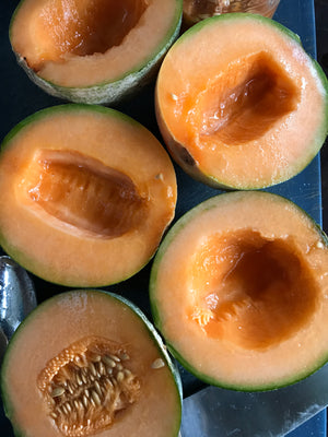 Melon, Emerald Gem