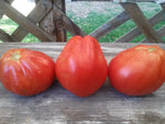 Tomato, Cuore di Capra