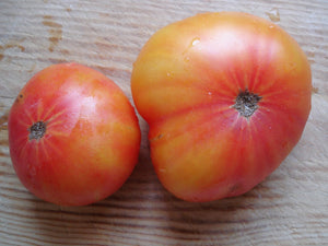 Tomato, Hillbilly