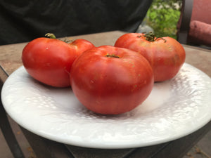 Tomato, Hill Marmande