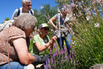 How do we fix what's broken? The Seed Circus investigates!