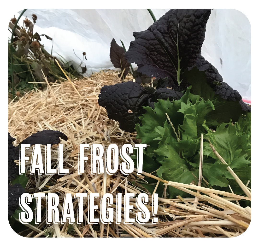 Fall Planting and Overwinter Planning Snake River Seed Cooperative