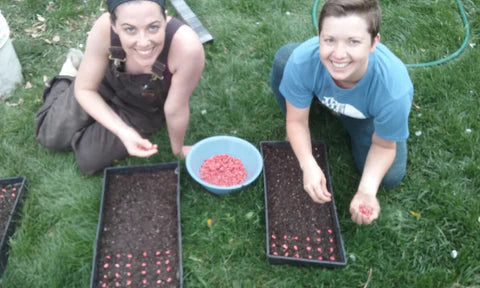 The Life of a Snake River Seed: A Photo Blog