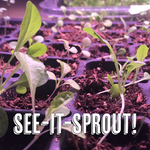 🌱📸 See-it-Sprout Photo Contest! 📸🌱