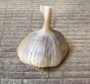 
            
                Load image into Gallery viewer, Garlic, German Red Hardneck
            
        