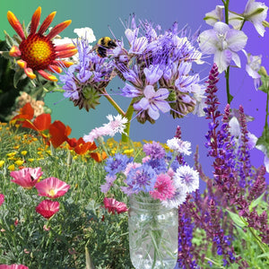 flower seed mixes Flower Mix, Bee My Pollinator! – Snake River Seed Cooperative