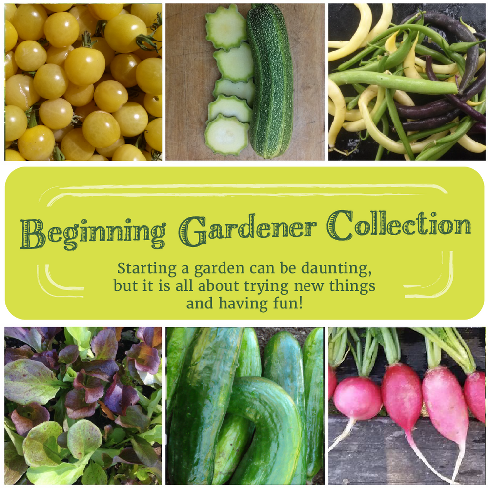 Beginning Gardener Seed Collection