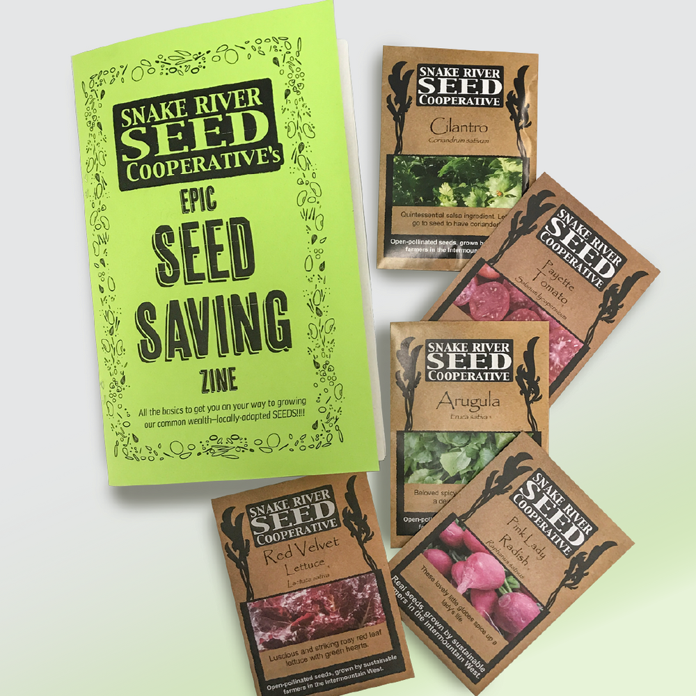 Seed Packets – Pigeon Mountain Trading Company