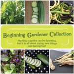 Beginning Gardener Seed Collection