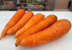 Carrot, Dulcinea