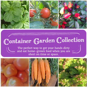 
            
                Load image into Gallery viewer, Container Garden Seed Collection
            
        