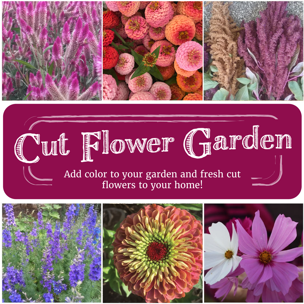 Cut Flower Garden Seed Collection