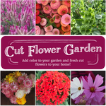 Cut Flower Garden Seed Collection