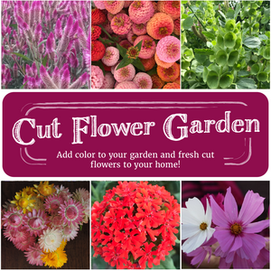 Cut Flower Garden Seed Collection