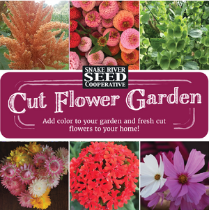 cutting garden seeds Cut Flower Garden Seed Collection