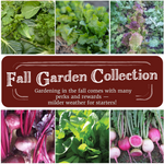 Fall Garden Seed Collection