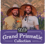 Grand Prismatic Seed Collection