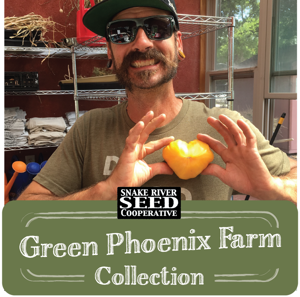 Cress, Broadleaf Garden – Snake River Seed Cooperative