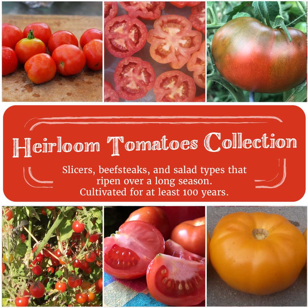 
            
                Load image into Gallery viewer, Heirloom Tomatoes Seed Collection
            
        
