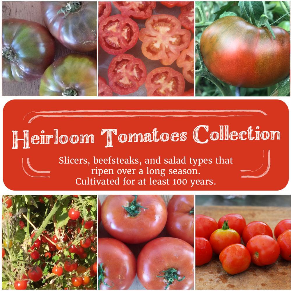 Heirloom Tomatoes Seed Collection