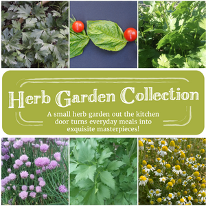 
            
                Load image into Gallery viewer, Herb Garden Seed Collection
            
        