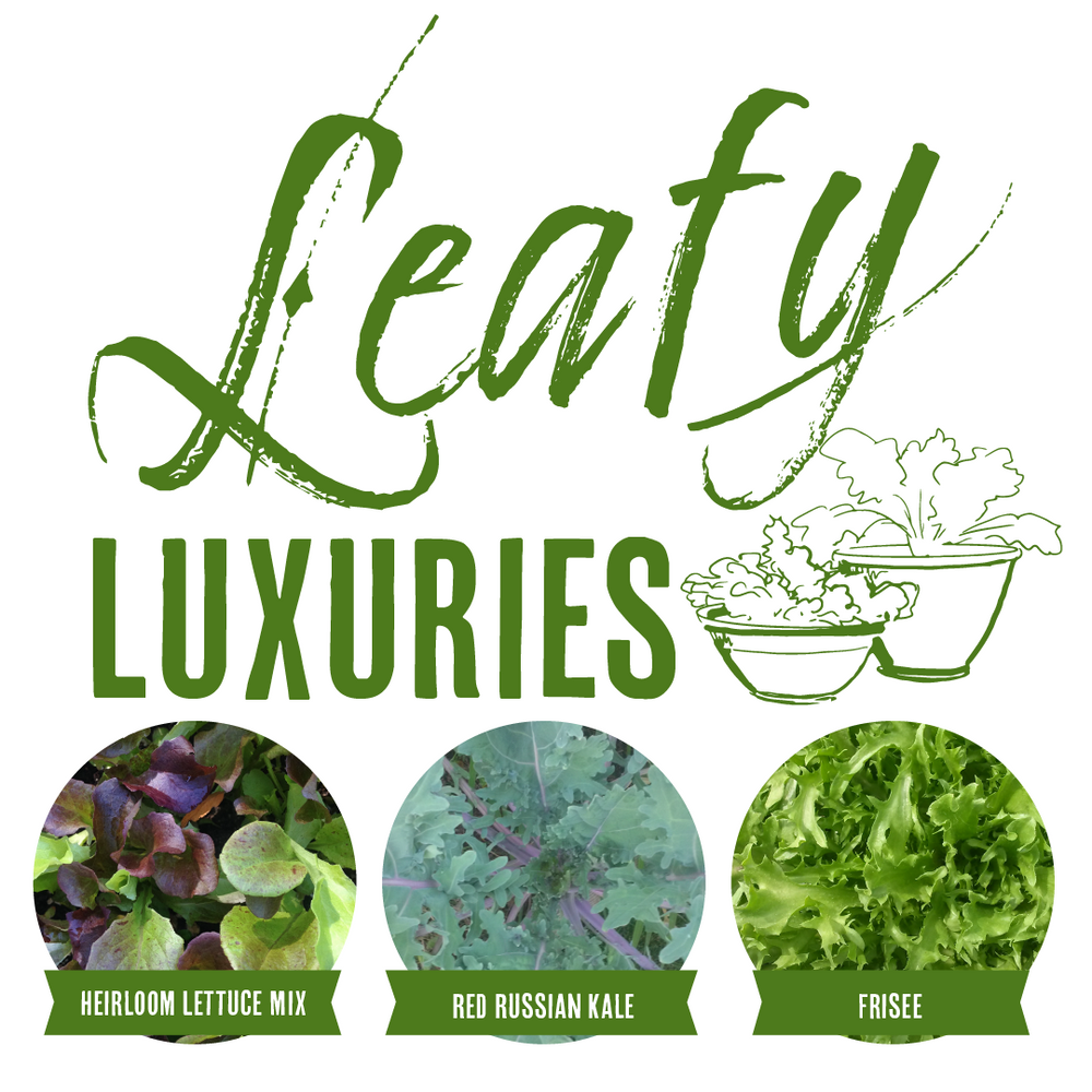 Leafy Luxuries Collection