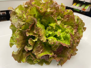 Lettuce, Drunken Woman Frizzy Headed