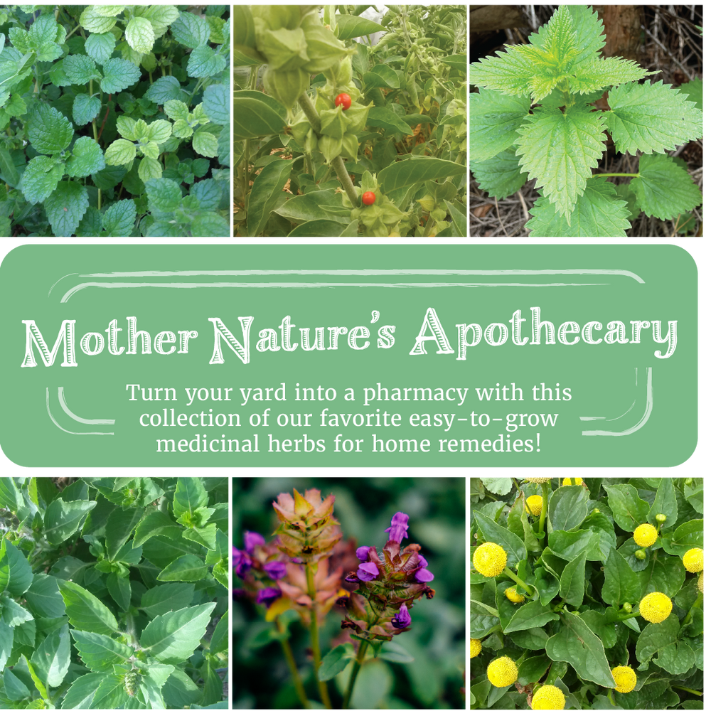 Mother Nature's Apothecary Seed Collection