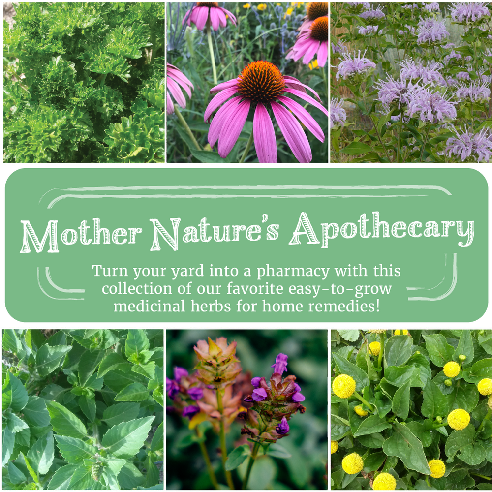 Mother Nature's Apothecary Seed Collection