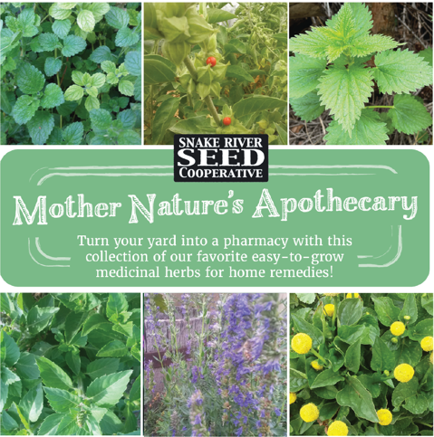 Mother Nature's Apothecary Seed Collection – Snake River Seed Cooperative