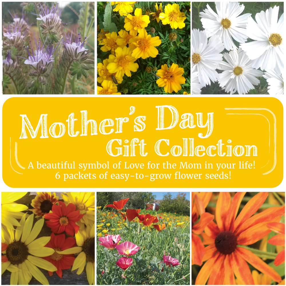 Momma's Bloomin' Garden Gift Collection