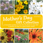 Momma's Bloomin' Garden Gift Collection