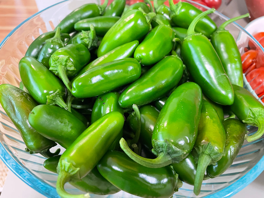Pepper, Early Jalapeno