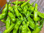 Pepper, Shishito