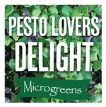 Microgreens Pesto Lovers Delight