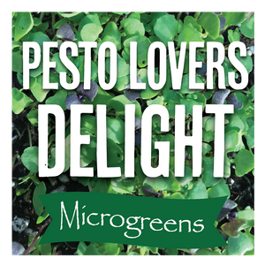 
            
                Load image into Gallery viewer, Microgreens Pesto Lovers Delight
            
        