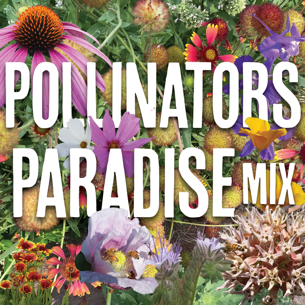 Pollinators' Paradise Bulk Seed Mix