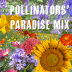 Pollinators' Paradise Bulk Seed Mix