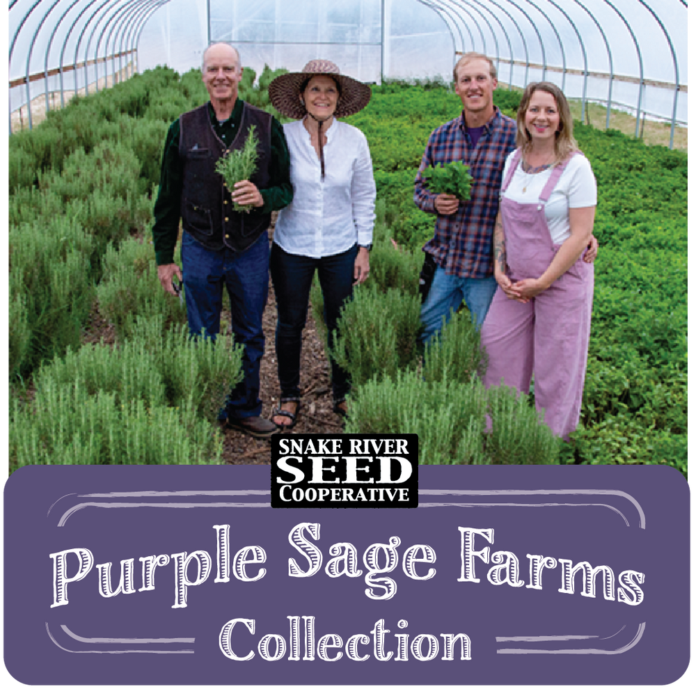 Purple Sage Farms Seed Collection