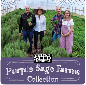 Purple Sage Farms Seed Collection