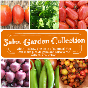 
            
                Load image into Gallery viewer, Salsa Garden Seed Collection
            
        