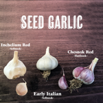 Seed Garlic Sampler