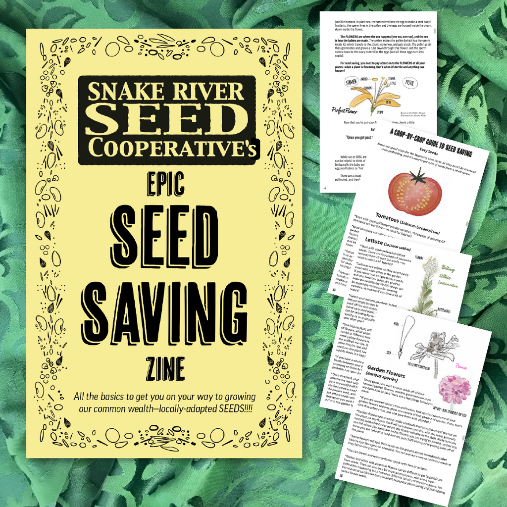 saving garden seeds Seed Saving Zine! (PDF Version) – Snake River Seed Cooperative