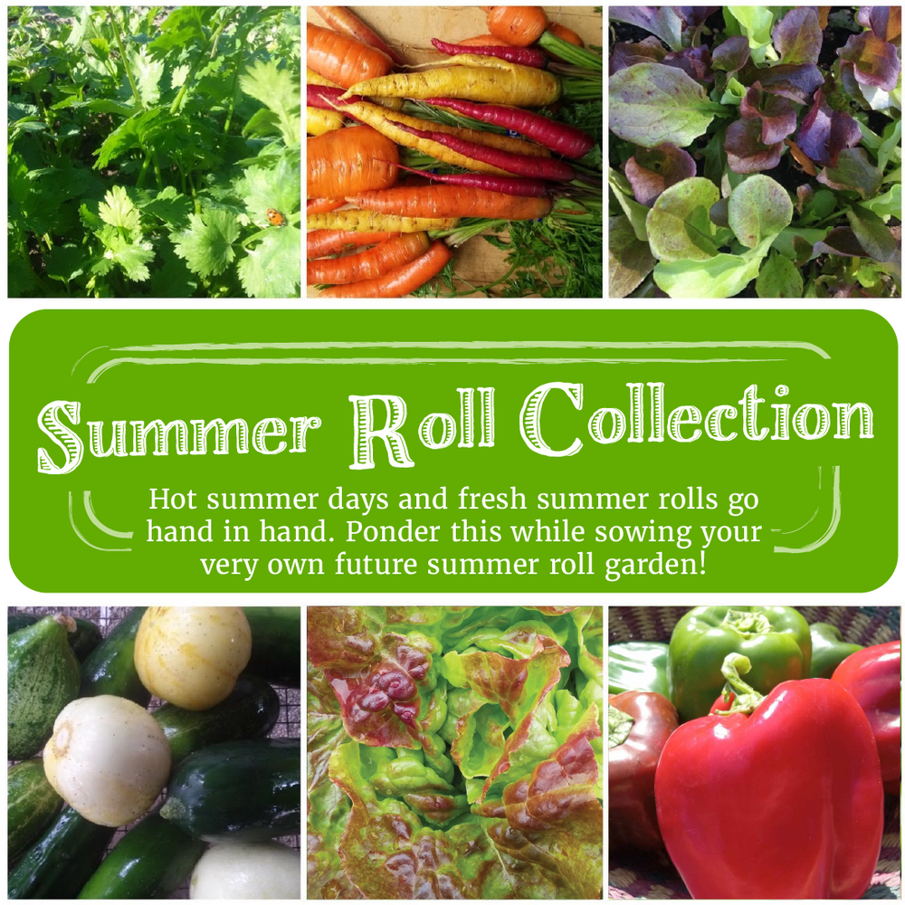 Summer Roll Garden Gift Collection