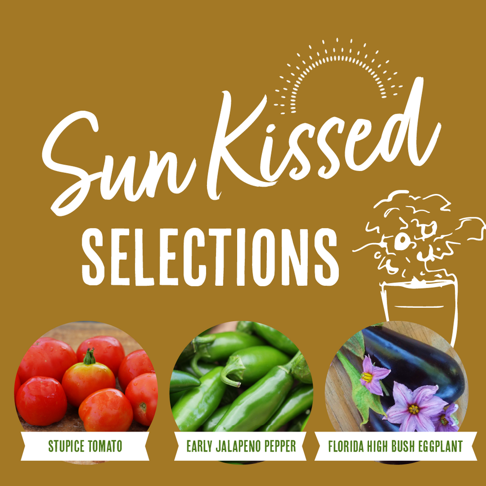 Sun Kissed Selections Collection